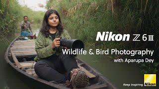 Nikon Z6III  Behind-the-scenes  Wildlife photography with Aparupa Dey