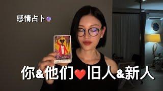 You and Them 旧人和新人【无限时感情占卜】