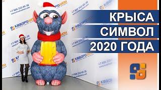 Надувная фигура Крысы  Символ наступающего Нового 2020 года  Надувные фигуры на заказ