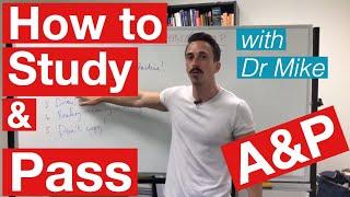 How to study and pass Anatomy & Physiology