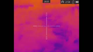 Testing the AGM Rattler TS19 Thermal Scope at night with no moonlight