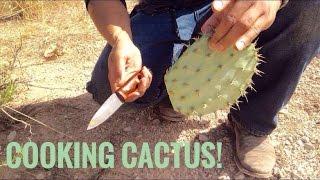 Desert Survival Food Prickly Pear Cactus Nopales -Junkyard Fox