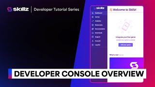 Developer Console Overview