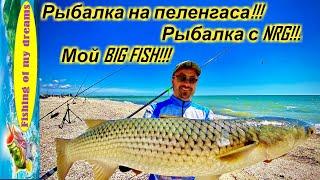 РЫБАЛКА НА ПЕЛЕНГАСАNRG FISHING у нас в гостяхУбойные пеликиМой BIG FISH