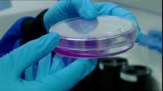 The Investigators -Series 2 - Episode 6 - Nanotechnology