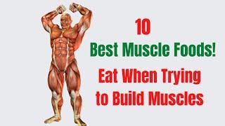 Best Foods To Eat For Muscle Gain   10 Best Muscle Foods To Eat