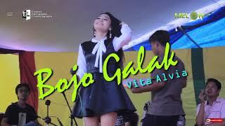 Vita Alvia with Melon Music - Bojo Galak