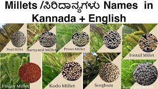 Millets in English - Kannada  ಸಿರಿಧಾನ್ಯಗಳು