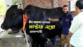 916- প্রান্তিক খামারীর গরুর খামার মাষ্টার এগ্রো রাজশাহী-র.ই মানিক R.I.Manik.Chitrapuri Krishichitra