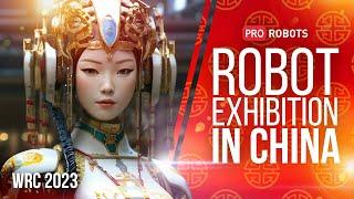 WRC 2023 - Chinas largest robot exhibition  Robots and technologies at the exhibition in China