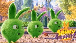 Cartoons for Children  SUNNY BUNNIES - TRIPLE HOPPER  Funny Cartoons For Children