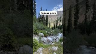 Река Барскоон Кыргызстан  звуки природы #shortsvideo #mountains #горы