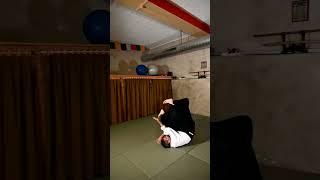 Ukemi practice - Aikido Virtual Dojo