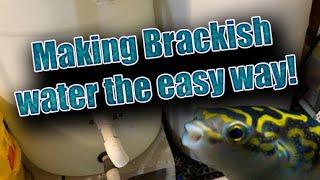 How to make brackish water the easy way