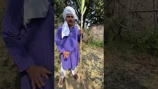 8436 गन्ने की किस्म Sugarcae farming