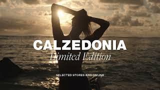 CALZEDONIA SEYCHELLES LIMITED2