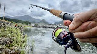 Daiwa Fuego LT 4000D-C Review - 2024 Early Season Shad Fishing Bonneville Dam Washington