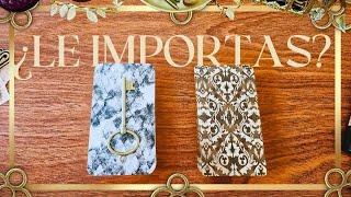 ¿ LE IMPORTO REALMENTE? TAROT INTERACTIVO