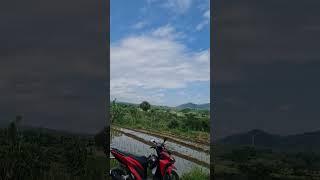 Honda Vario 150 di pematang sawah