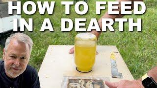 Beekeeping TIPS On Feeding Your Bees During A Dearth