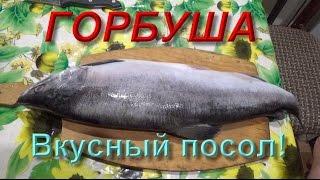 Как вкусно засолить горбушу и другую красную рыбу