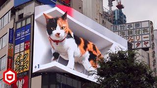 3D LED Billboard ini sangat Nyata Seperti Sungguhan