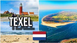 TEXEL beautiful island in the Netherlands