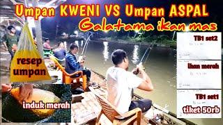 BORONG JUARA‼️ mancing ikan mas dengan umpan KWENI #GP-108