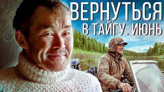 Вернуться в тайгу. Июнь  С полем