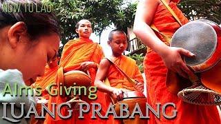 Travel Laos Giving Alms to Buddhist Monks in Luang Prabang Laos - Now to Lao Travel vlog