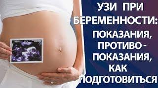 УЗИ при беременности как подготовиться показания и противопоказания УЗИ при беременности
