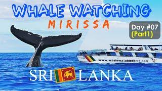 Day 07 Part 1   Whale watching in Mirissa Sri Lanka  My solo trip to Sri Lanka