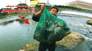 viral..‼️ jala ikan di Taiwan sekali tebar bisa dimakan orang sekampung..