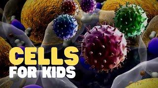 Cells for Kids  Learn about cell structure and function in this engaging and fun intro to cells