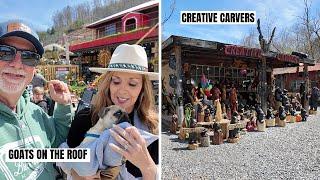 Creative Carvers & Goats On The Roof TWO GREAT PLACES TO VISIT In The SMOKIES