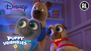 Puppy Vriendjes  De Zaak van de Verdwenen Badge  Disney Channel NL