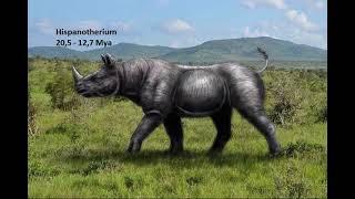 Ewolucja Nosorożca Evolution of Rhino