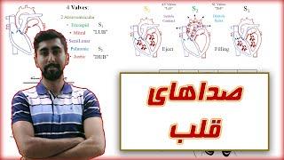 صداهای قلب  فیزیولوژی انسان  Heart Sounds