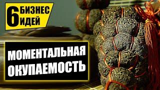 ТОП-6 ПРОСТЫХ БИЗНЕС ИДЕЙ С БЫСТРОЙ ОКУПАЕМОСТЬЮ Бизнес идеи Бизнес 2021