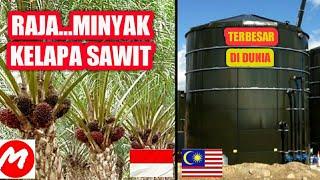 TOP 5 DUNIA INILAH NEGARA PENGHASIL KELAPA SAWIT TERBESAR DI DUNIA SAAT INI.