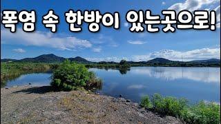 폭염 속 한방이 있는 곳으로