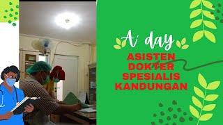 A day  asisten dokter spesialis kandungan