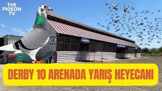 Derby 10 Arena Balıkesir Hot Spot III Racing Pigeon Sports