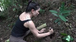 Survive in the forest - Build bamboo houses to shelter in the wild - Snakes for meals  Run My Life