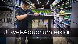 Das meistgekaufte Aquarium erklärt - Tipps & Tricks für Juwel-Aquarien  Aquado-Zoo Dortmund
