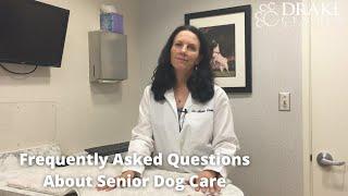 Frequently Asked Questions About Senior Dog Care