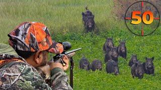 TOP 50 WILD BOAR SHOTS MOST EXCITING HUNTING SCENES #hunting #hog