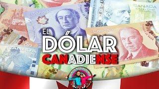 EP.11 El dólar canadiense  AVENTURA EN CANADÁ