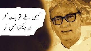 Wo Bewafa Hai To Kia  Naseer Turabi  Sad Urdu Poetry