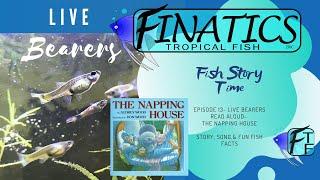 Finatics Fish Story Time Episode 13 The Napping House and Live Bearers